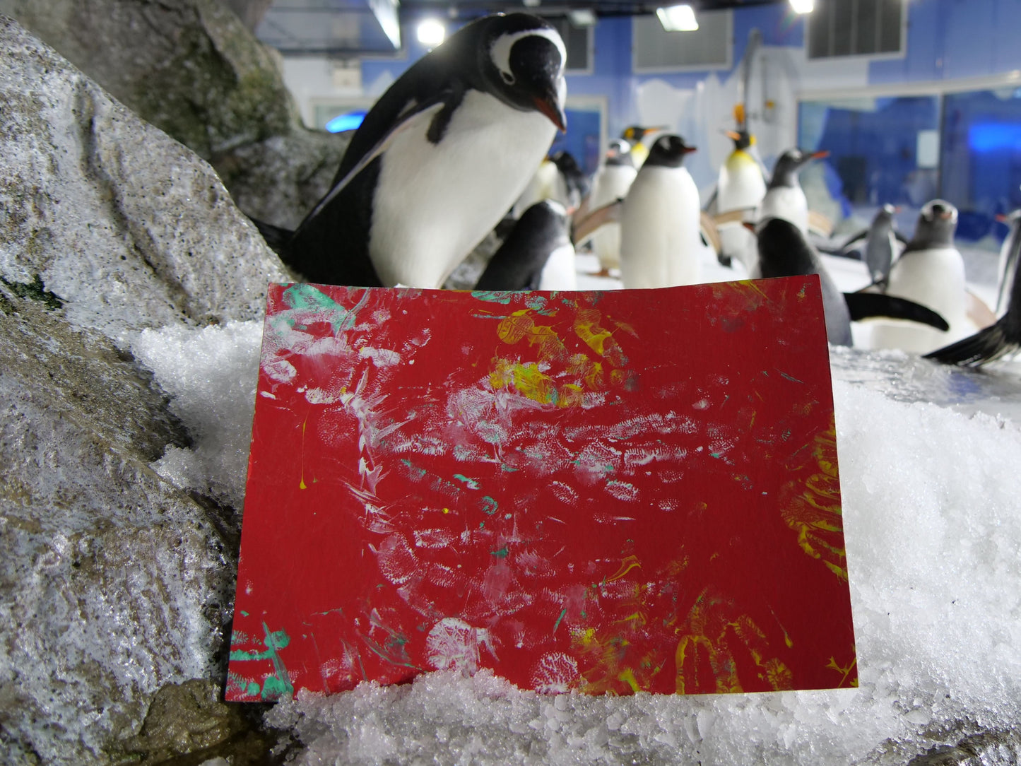 Medium - A4 Penguin Paintings