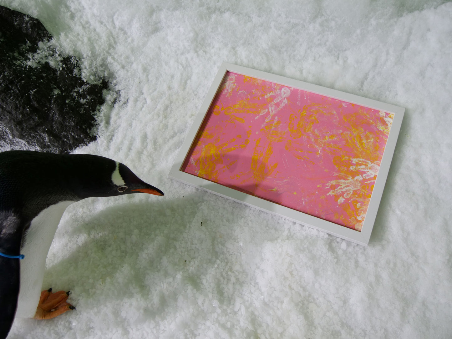 Large - A3 Penguin Paintings