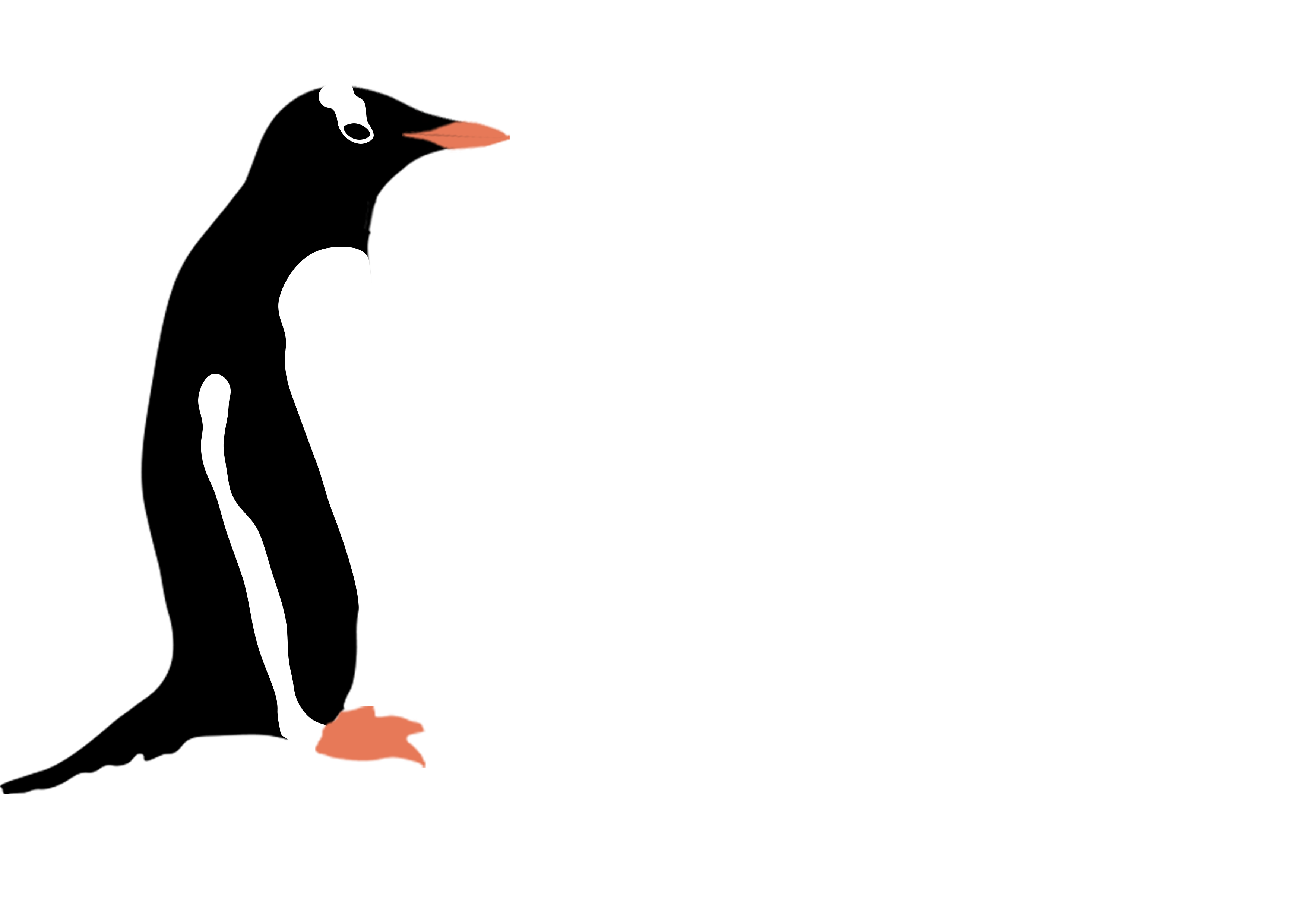 penguinsforpenguins