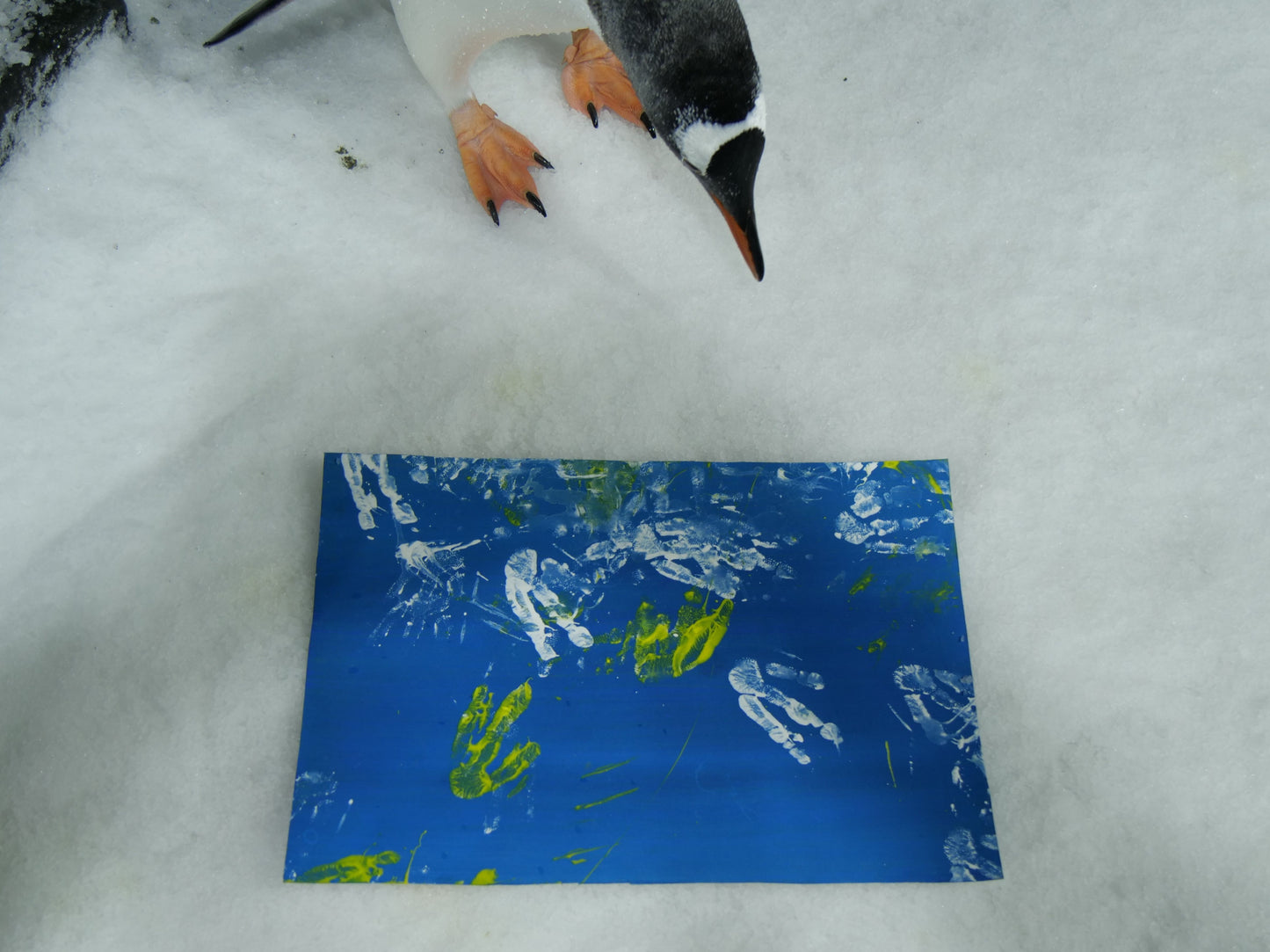 Large - A3 Penguin Paintings