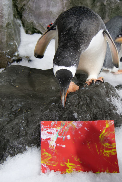 Small - A5 Penguin Paintings