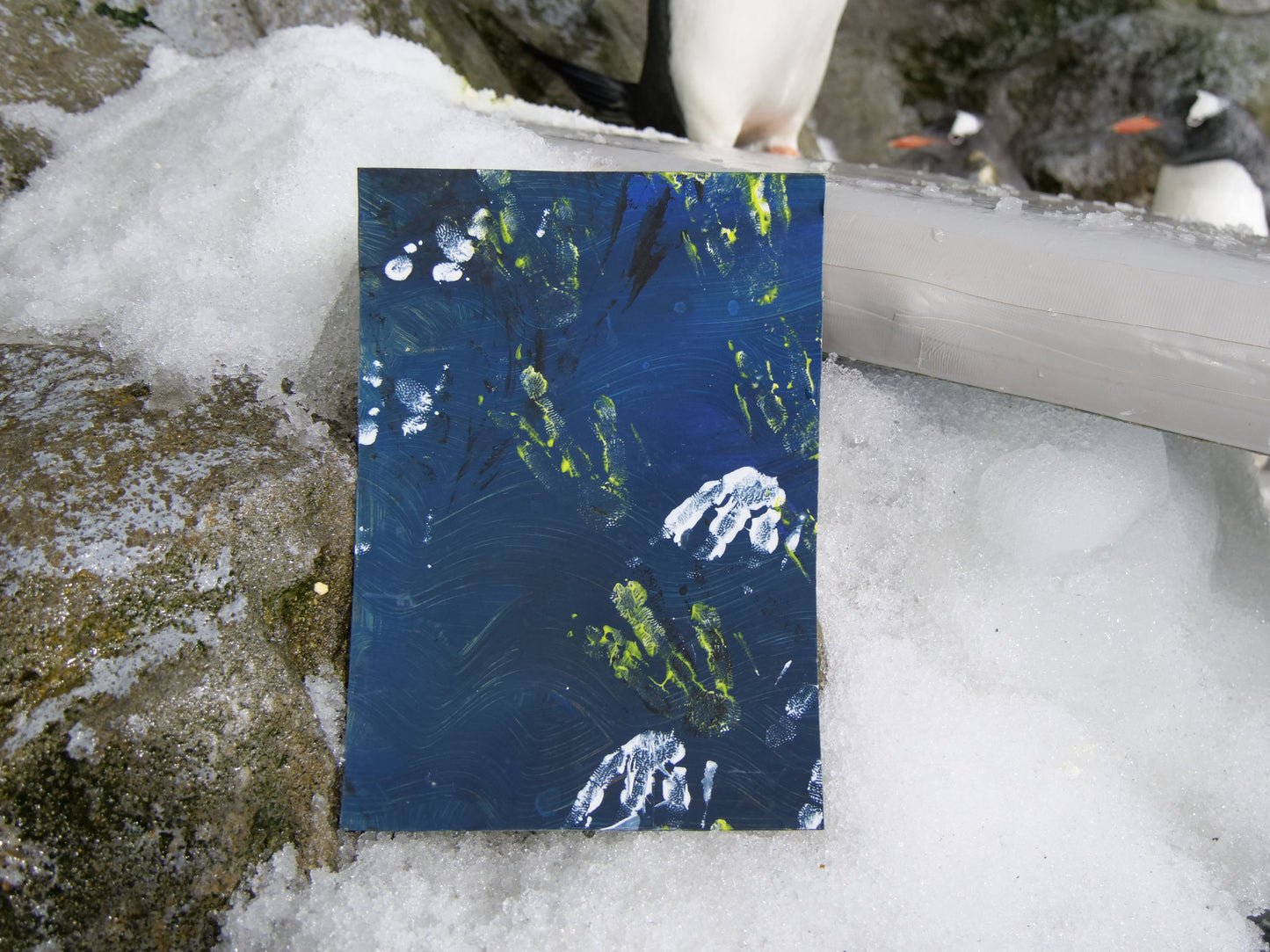 Medium - A4 Penguin Paintings