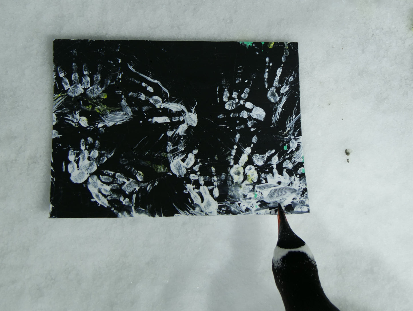 Large - A3 Penguin Paintings