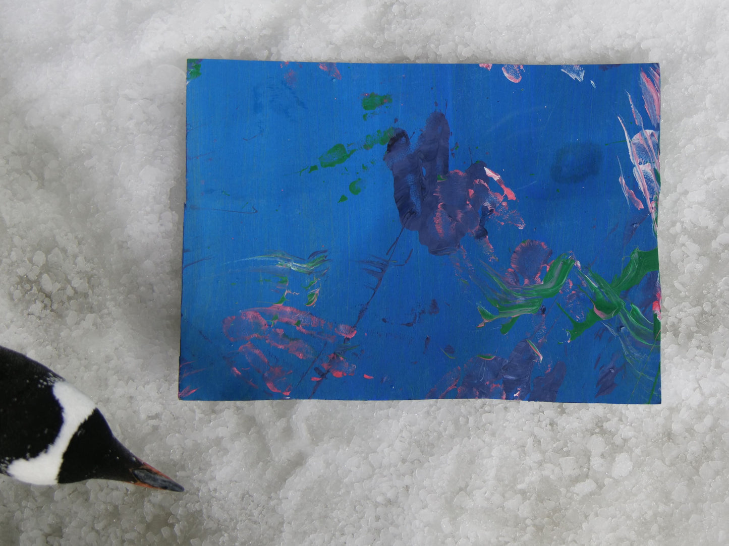 Medium - A4 Penguin Paintings