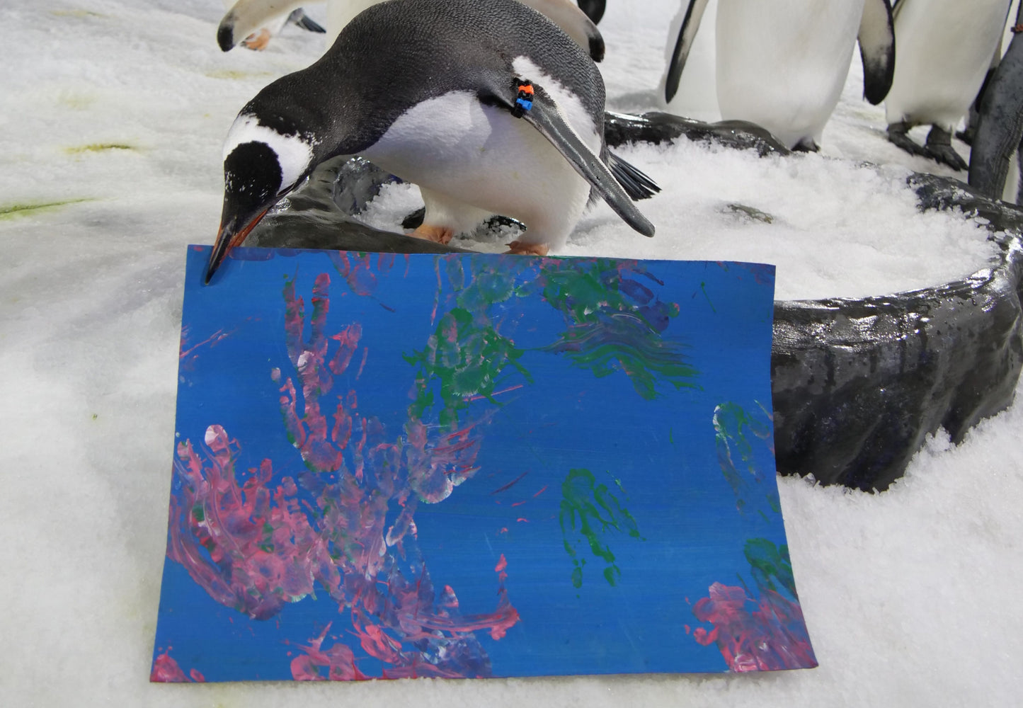 Large - A3 Penguin Paintings