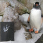 Small - A5 Penguin Paintings